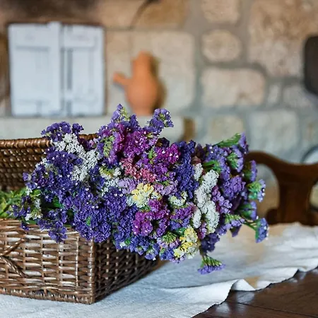 Hébergement de vacances Casa Da Torre - Natureza, Cultura E Aventura No Norte De Portugal *