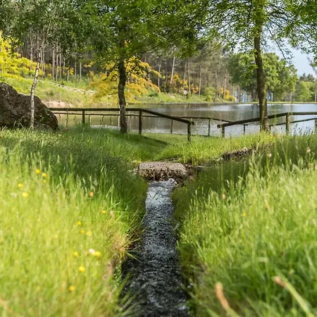 Private Nature Villa With Saltwater Pool In North Portugal