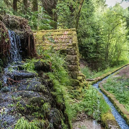 Semesterbostad Casa Da Torre - Natureza, Cultura E Aventura No Norte De Portugal *
