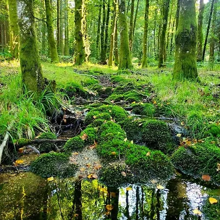 Hébergement de vacances Casa Da Torre - Natureza, Cultura E Aventura No Norte De Portugal Cabeceiras de Basto
