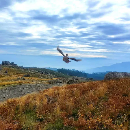 Casa Da Torre - Natureza, Cultura E Aventura No Norte De Portugal Casa de Férias