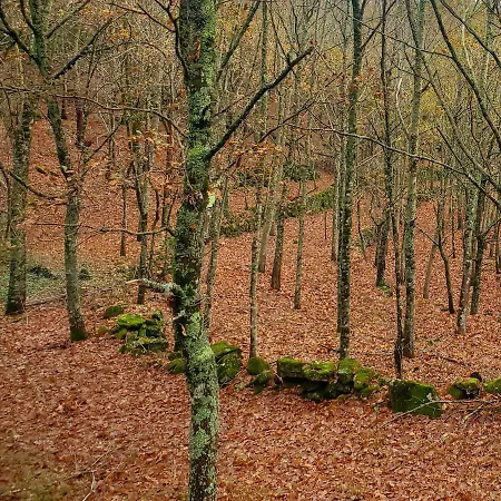 Casa Da Torre - Natureza, Cultura E Aventura No Norte De Portugal Hébergement de vacances *