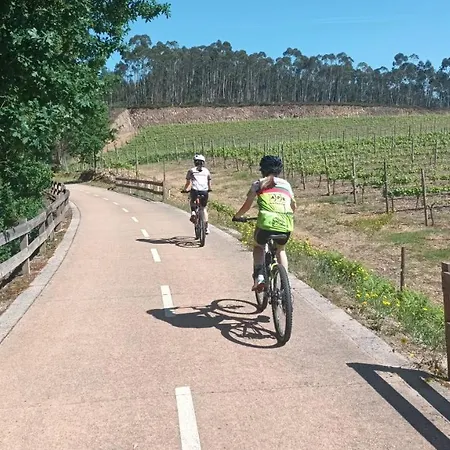 Hébergement de vacances Casa Da Torre - Natureza, Cultura E Aventura No Norte De Portugal Cabeceiras de Basto