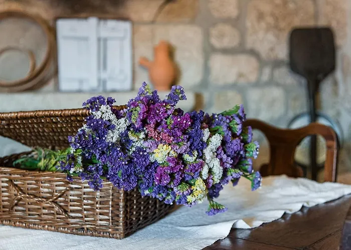 Дом отдыха Charming Surrounded By Nature And Panoramic Views North Portugal *