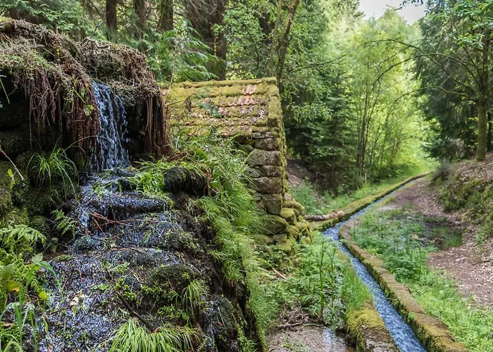 別荘 Charming Surrounded By Nature And Panoramic Views North Portugal *