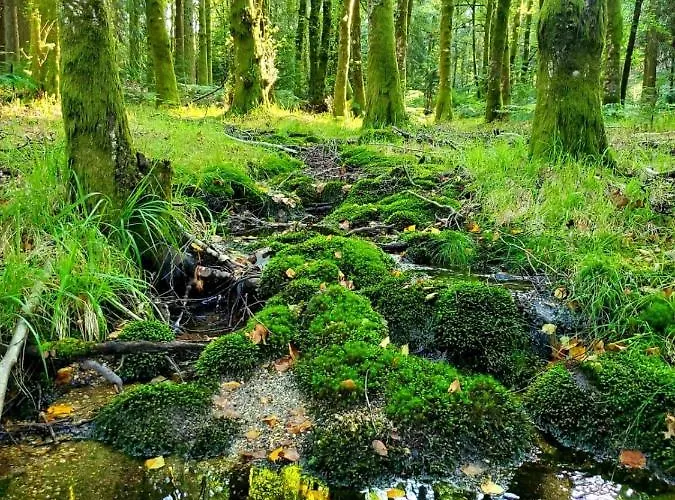 Nyaraló Charming Surrounded By Nature And Panoramic Views North Portugal Cabeceiras de Basto