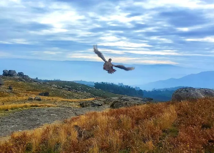 Charming Surrounded By Nature And Panoramic Views North Portugal Дом отдыха
