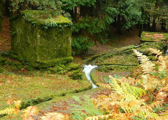 Nyaraló Charming Surrounded By Nature And Panoramic Views North Portugal