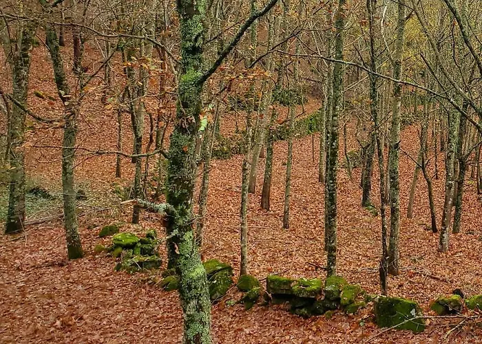 Charming Surrounded By Nature And Panoramic Views North Portugal Nyaraló *